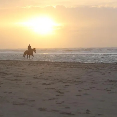 In With Sunny Garden *