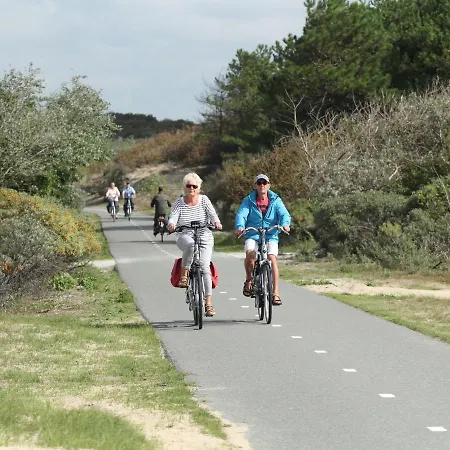 In With Sunny Garden *