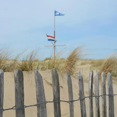 In With Sunny Garden *