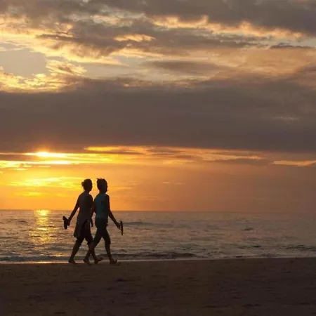 In With Sunny Garden *