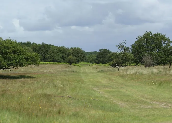 In With Sunny Garden