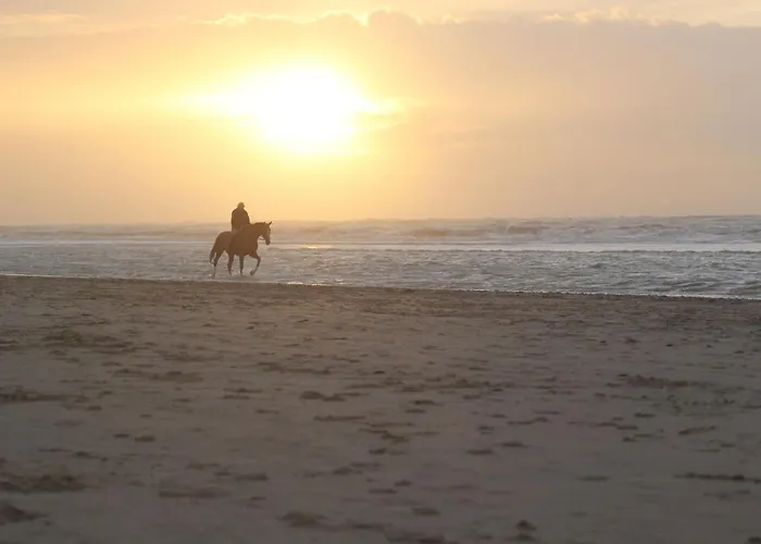 In With Sunny Garden *