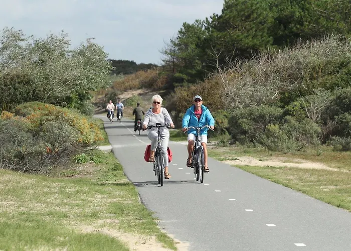 In With Sunny Garden *