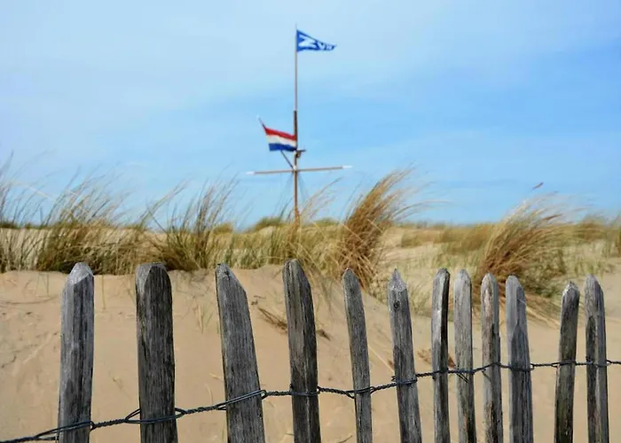 In With Sunny Garden Ferienhaus *