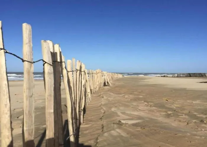 Semesterbostad In With Sunny Garden Noordwijk