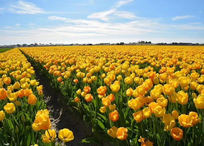 Semesterbostad In With Sunny Garden