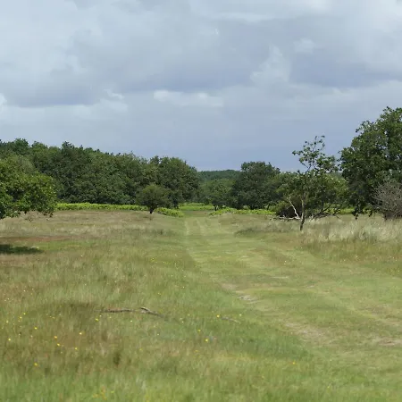 In With Sunny Garden