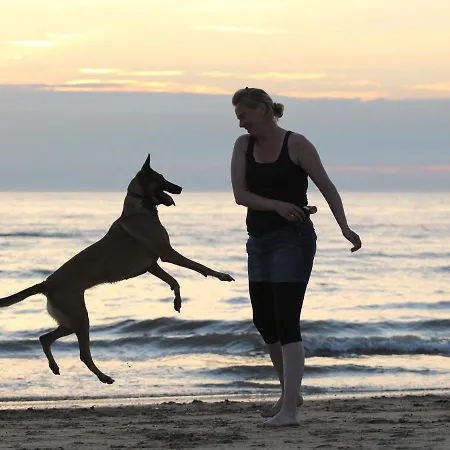 In With Sunny Garden Noordwijk