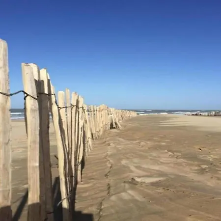 Tatil Evi In With Sunny Garden Noordwijk