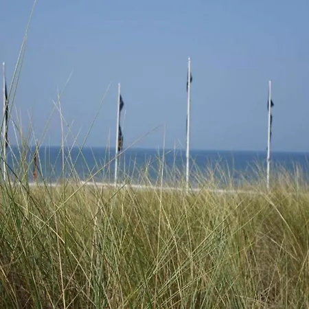 In With Sunny Garden Tatil Evi