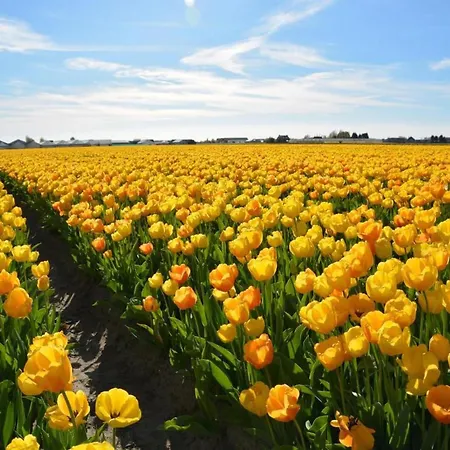 Tatil Evi In With Sunny Garden