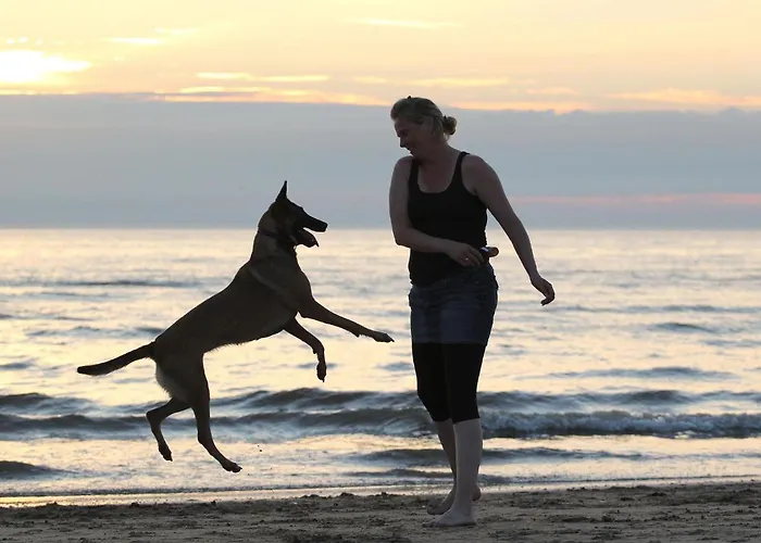 In With Sunny Garden Noordwijk