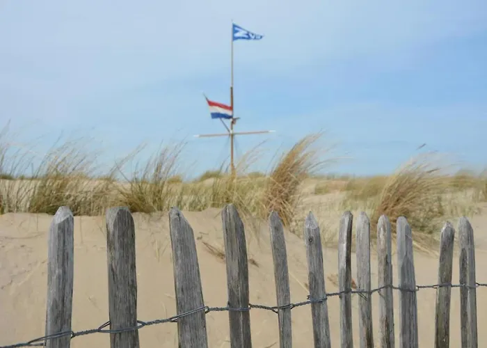 In With Sunny Garden *