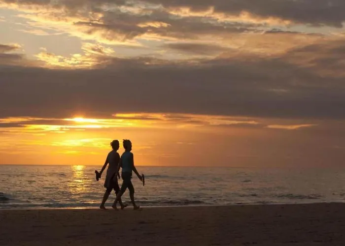 In With Sunny Garden *